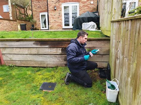 rat catchers poole|Rat Removal in Poole .